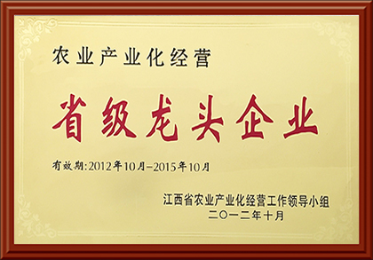 榮譽(yù)資質(zhì)